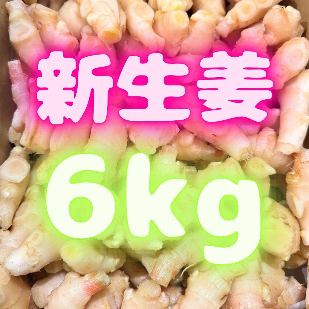 新物　新生姜　安いよ　533 新物 新生姜 安いよ 786 - メルカリ