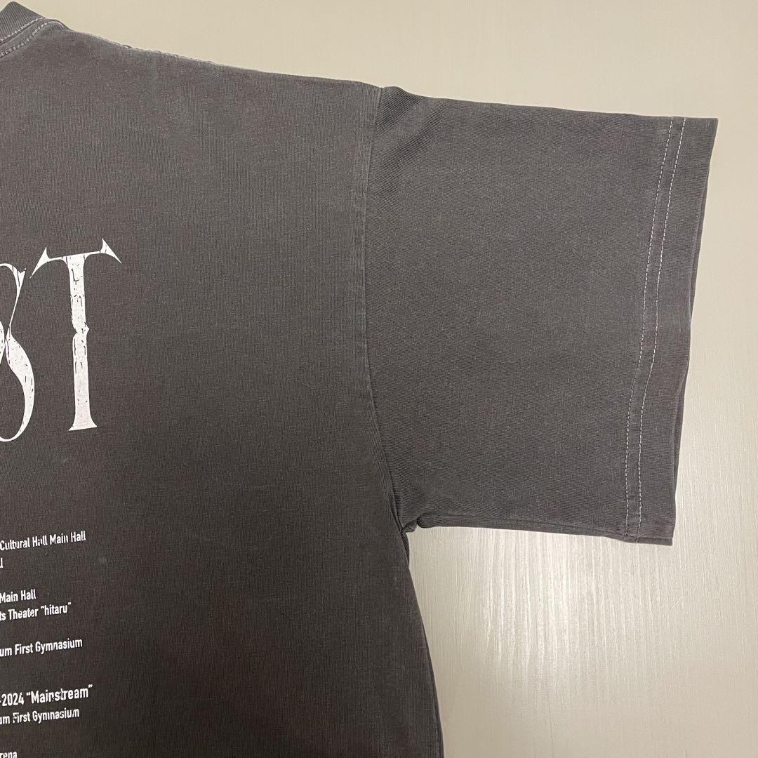 Tシャツ Lサイズ