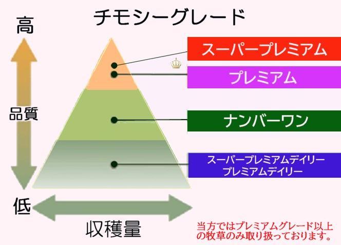 【5/31まで】 カナダ産 チモシー 50kg スーパープレミアム １番刈り