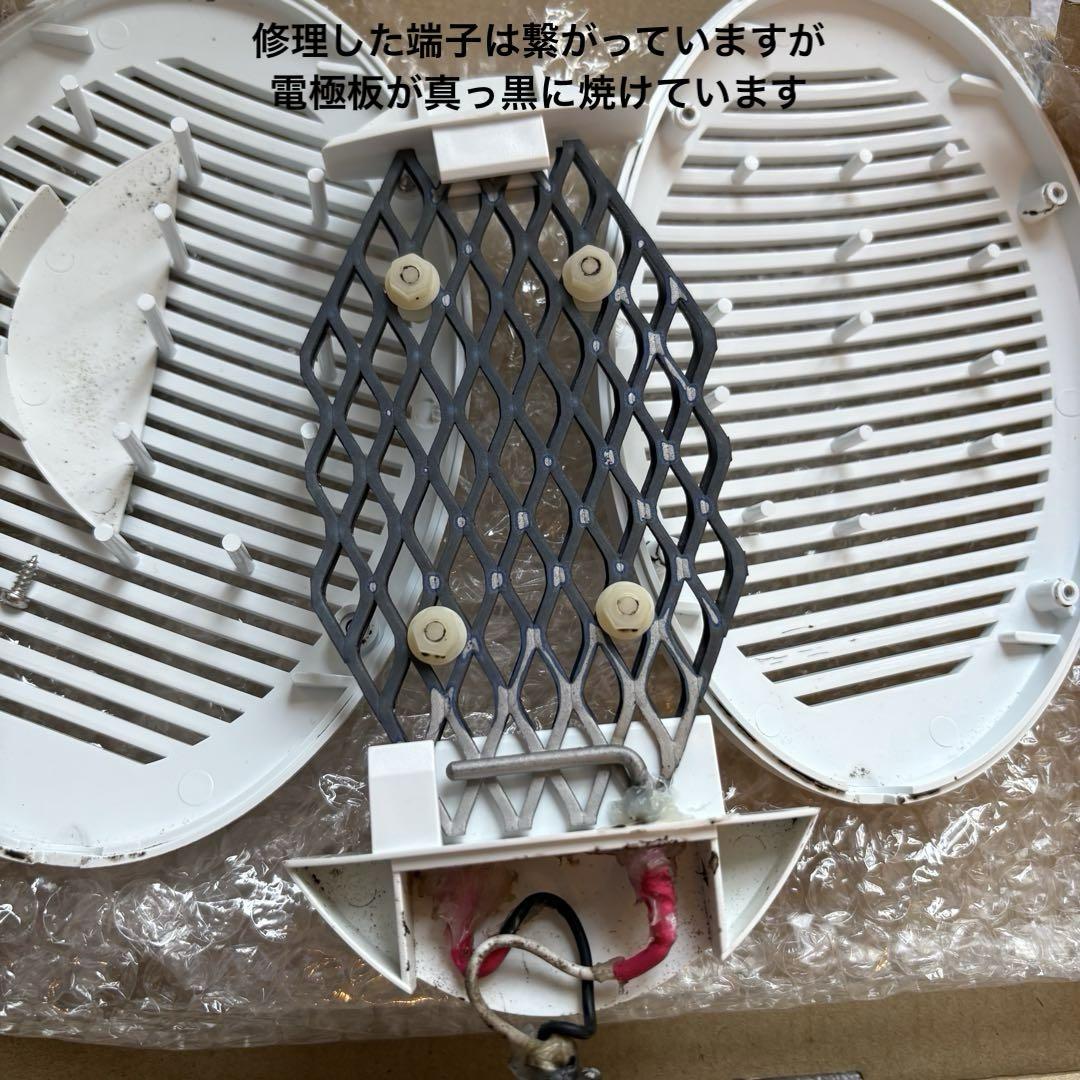 ひろたん品