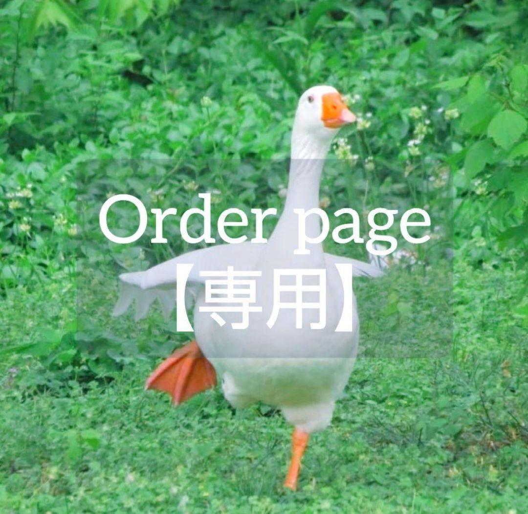 【専用】アイアン 家具【オーダー】 画像1