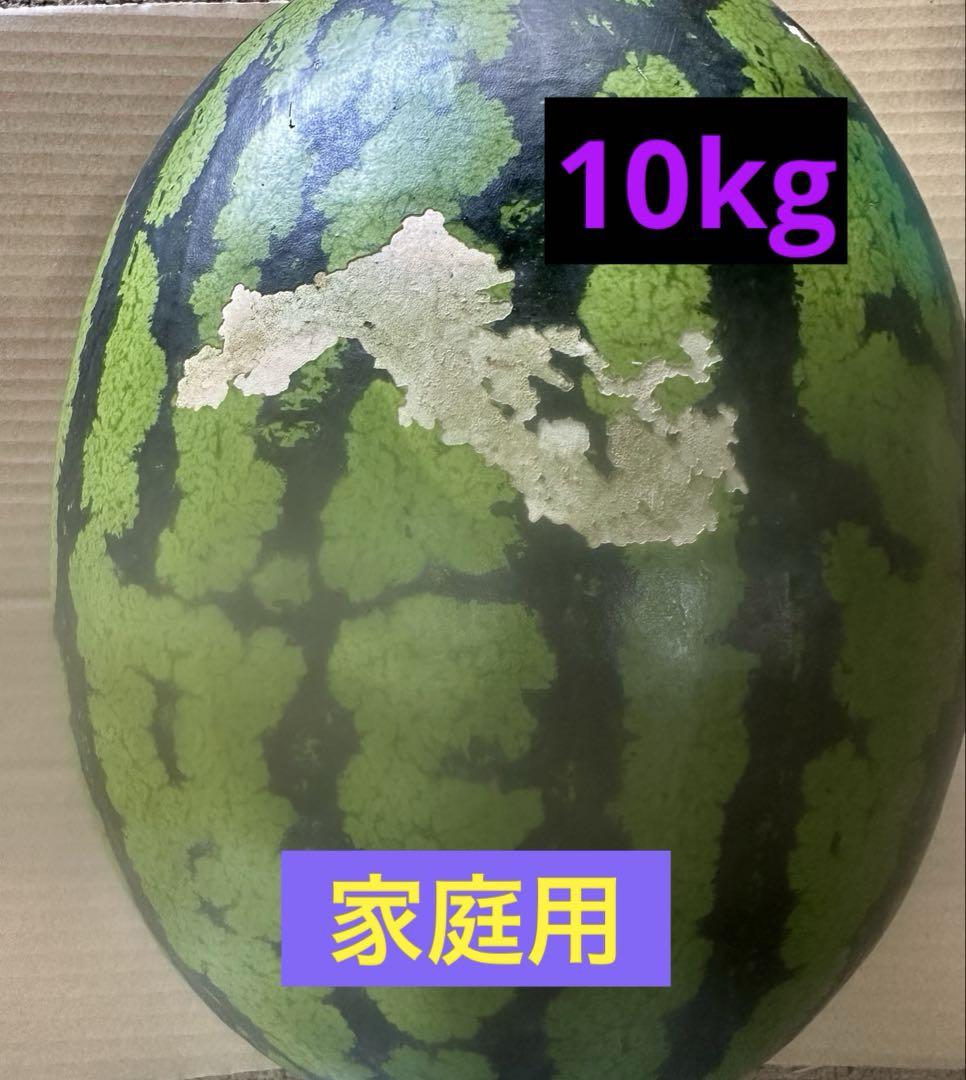 産地直送 熊本植木町スイカ【1玉入り】10kg