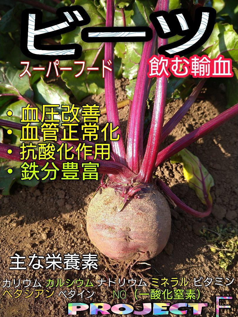 【訳あり】　ビーツ　約10キロ　三浦半島　農家直送　農薬不使用（栽培期間）
