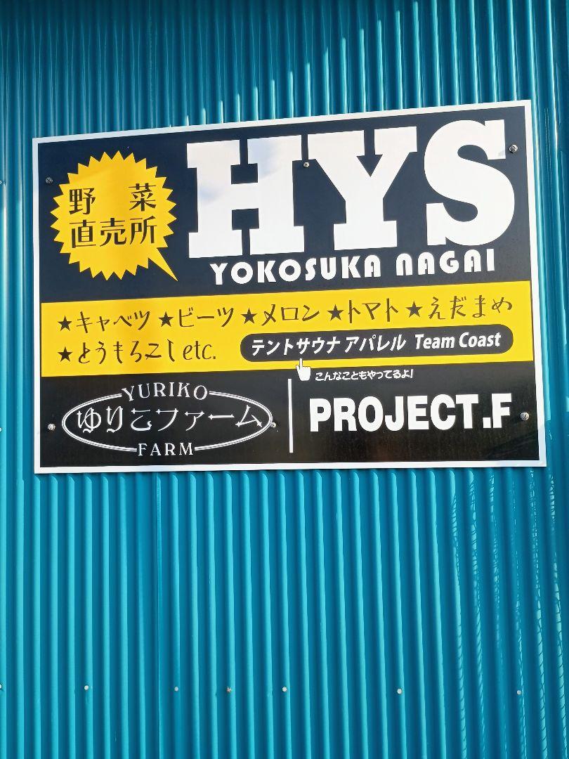 【訳あり】　ビーツ　約10キロ　三浦半島　農家直送　農薬不使用（栽培期間）