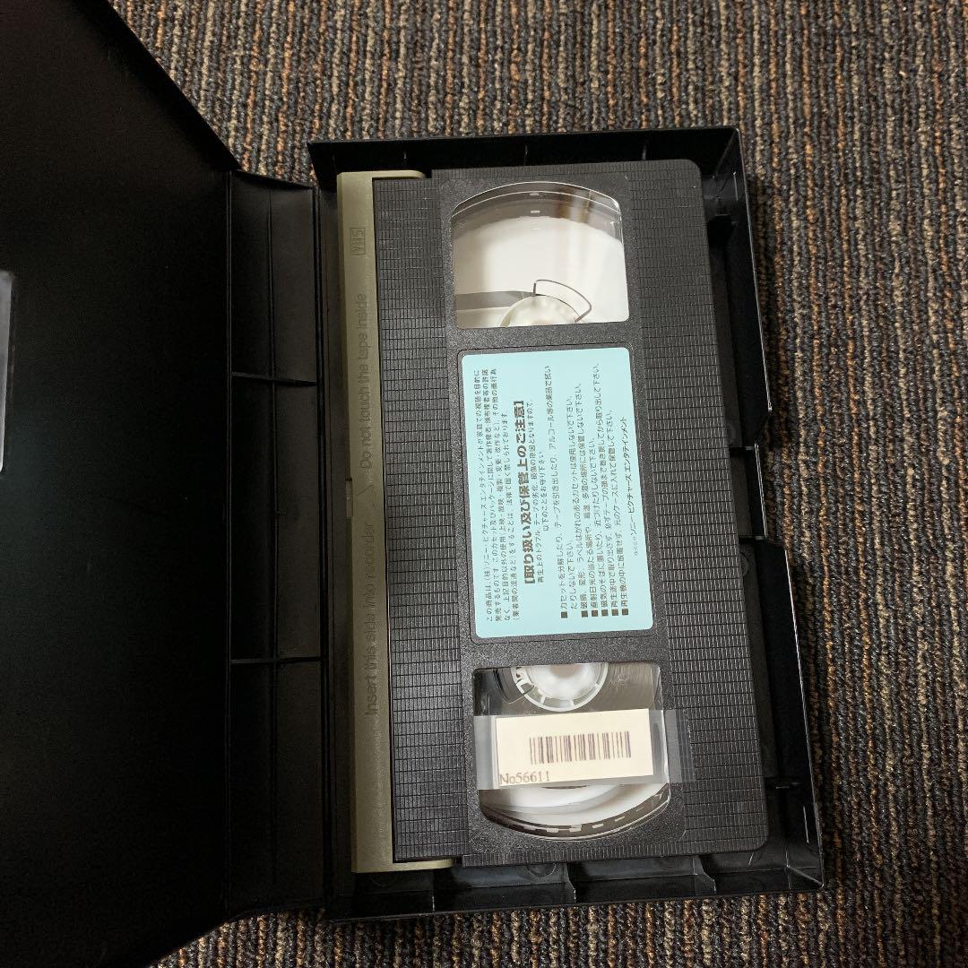 スワンプリンセス2 ビデオ vhs gfmQd-m77980499391 魔王の城 正規品人気