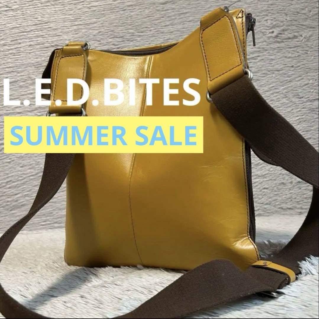 L.E.D.BITES エルイーディーバイツ　ショルダーバッグ　縦型メンズバッグ