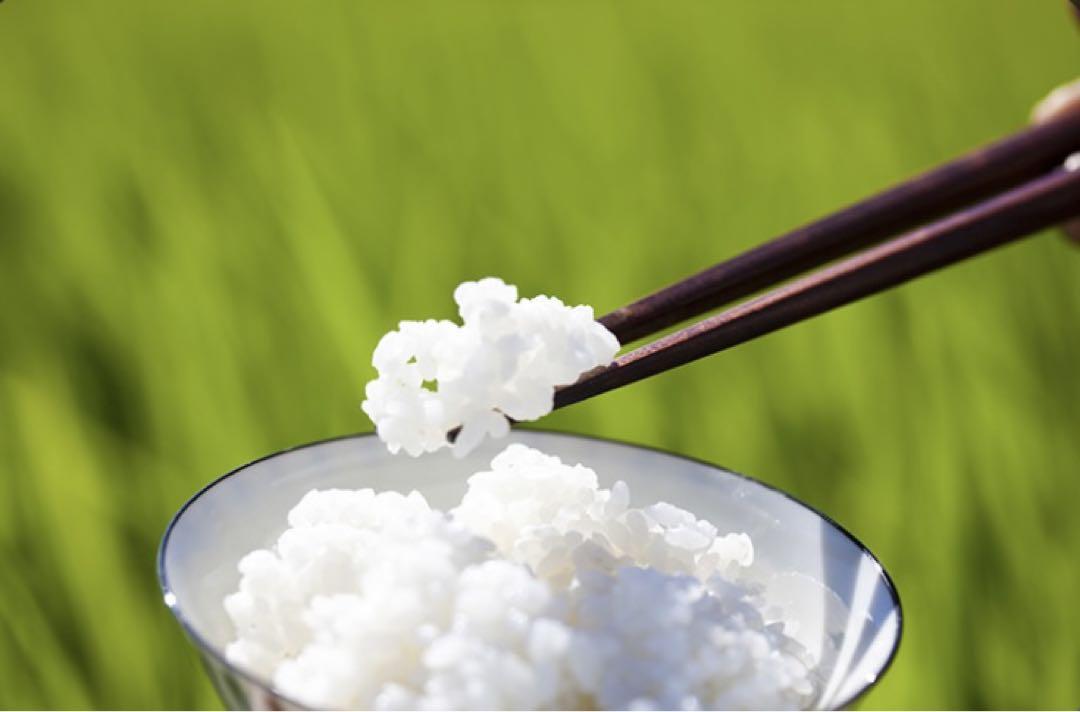 お米　ブレンド米【Have a Junjou Rice day!30kg】