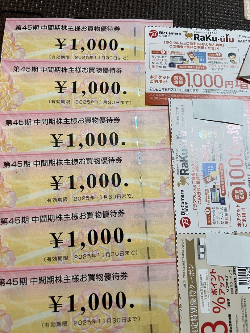 ビックカメラ株主優待券6000円分