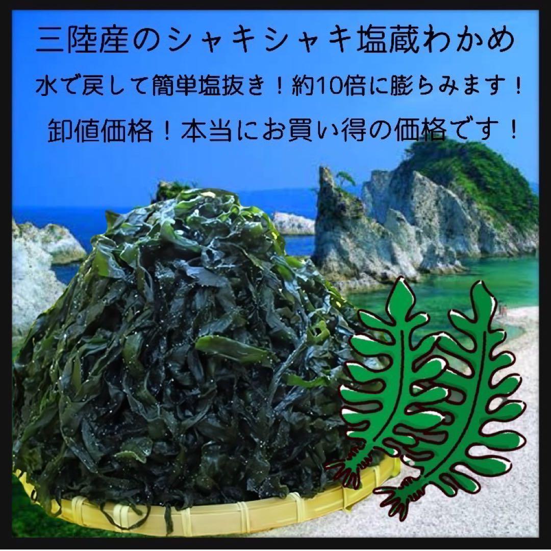 【希少コリコリ食感】塩蔵元葉わかめ 茎付き 4kg 400g×10袋