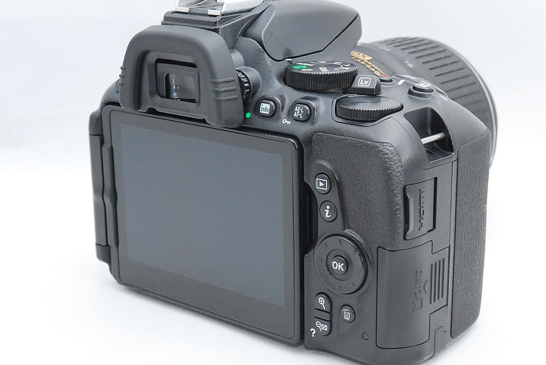 WiFi搭載でスマホへ写真転送OK♪ NIKON D5500 レンズセット 家族写真を