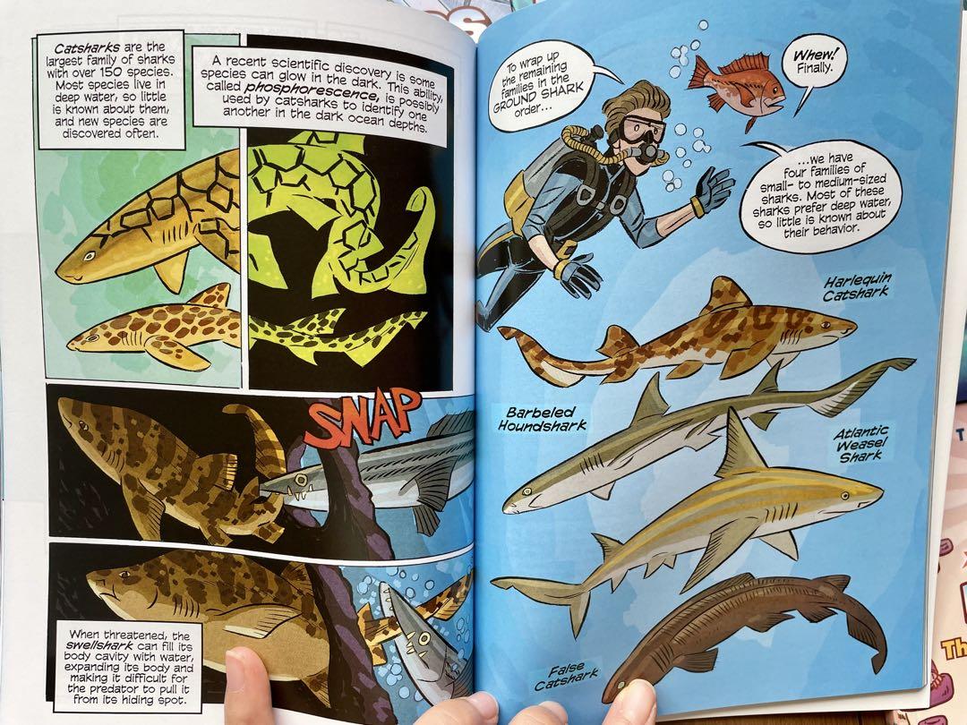 新品Science Comicsシリーズ29冊　洋書　英語絵本　漫画 新品Science Comicsシリーズ29冊 洋書 英語絵本 漫画 - メルカリ