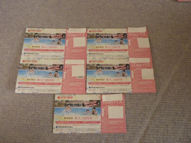 大幅に値引き 即日発送 6枚 東京サマーランド 春秋限定 1DAYパス 株主
