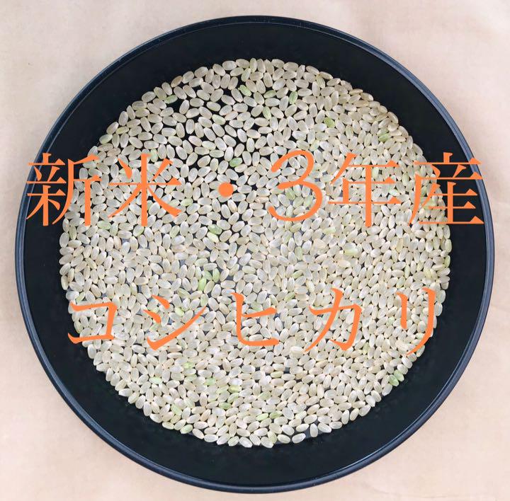 新米・令和3年産『特別栽培米・丹後産コシヒカリ』送料無料