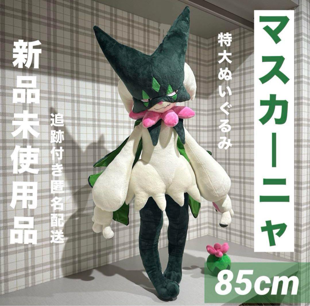 ★黒猫☆プロフ必読！沖縄からの発送。