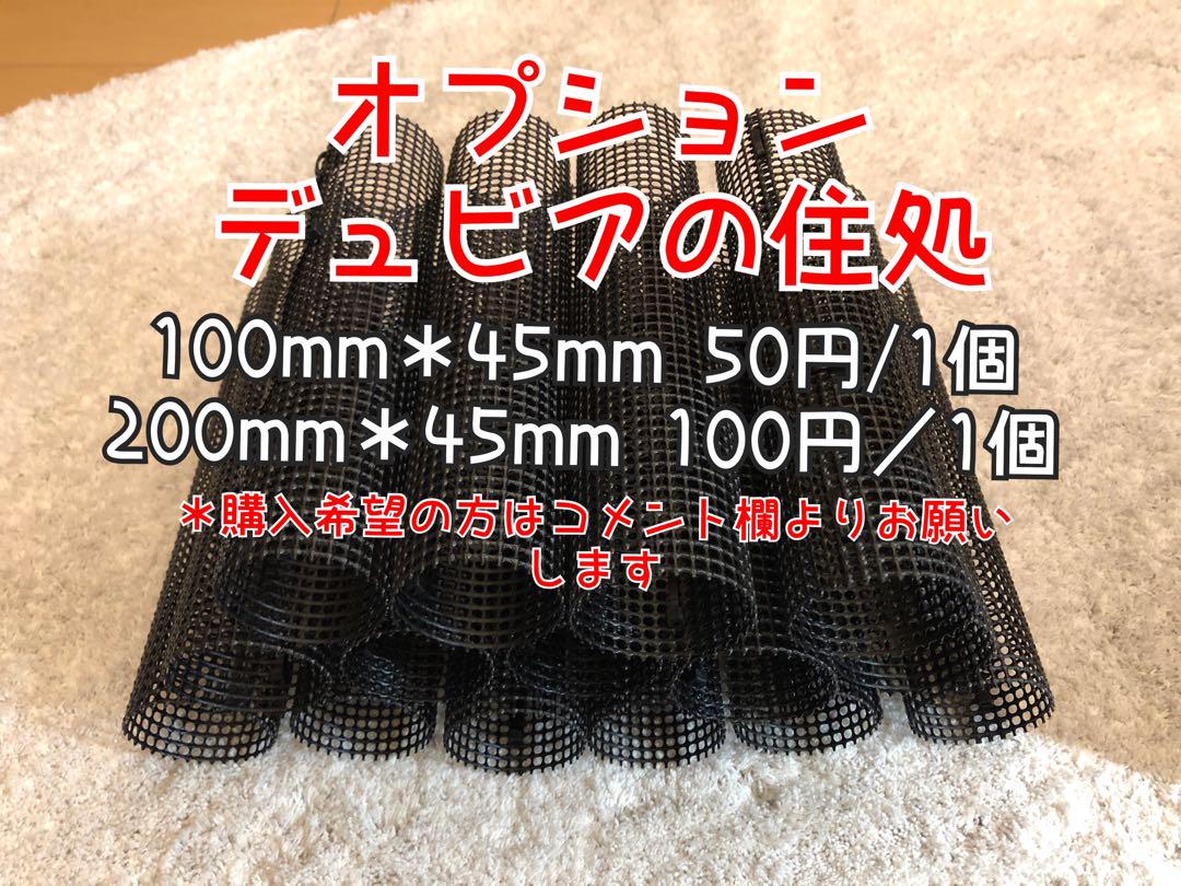 雫工房 フルセット！デュビア用飼育・繁殖ケージ 大型 二重底
