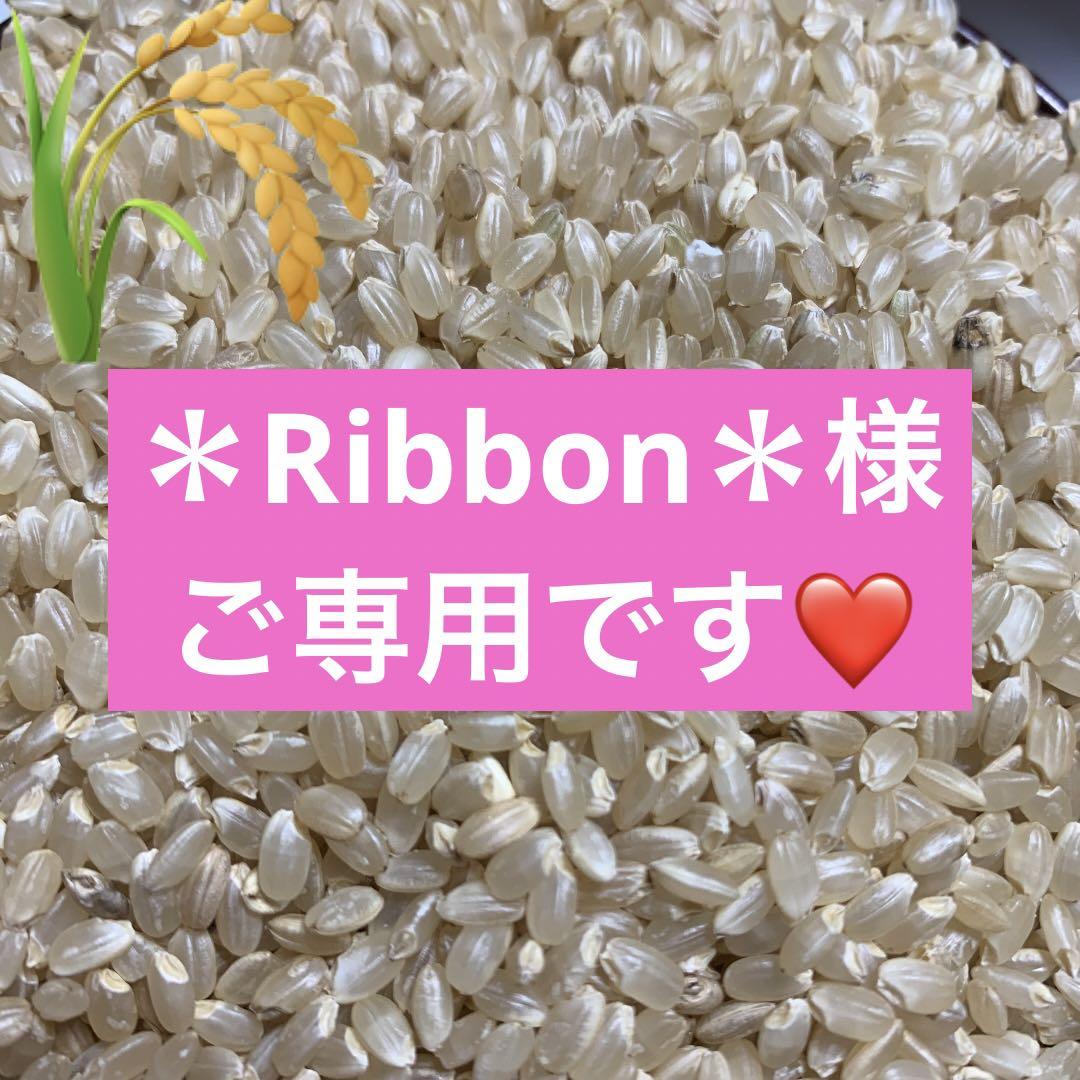 ＊Ribbon＊様ご専用です❤️兵庫県産コシヒカリ標準白米精米20キロ