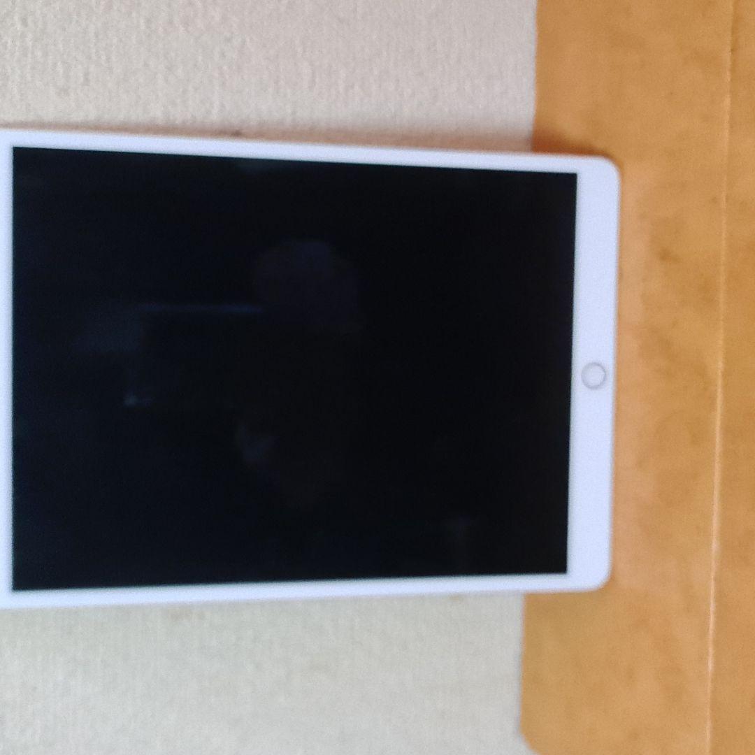 20300円 贅沢屋の iPad pro 10.5インチ 割と美品 ゴールド