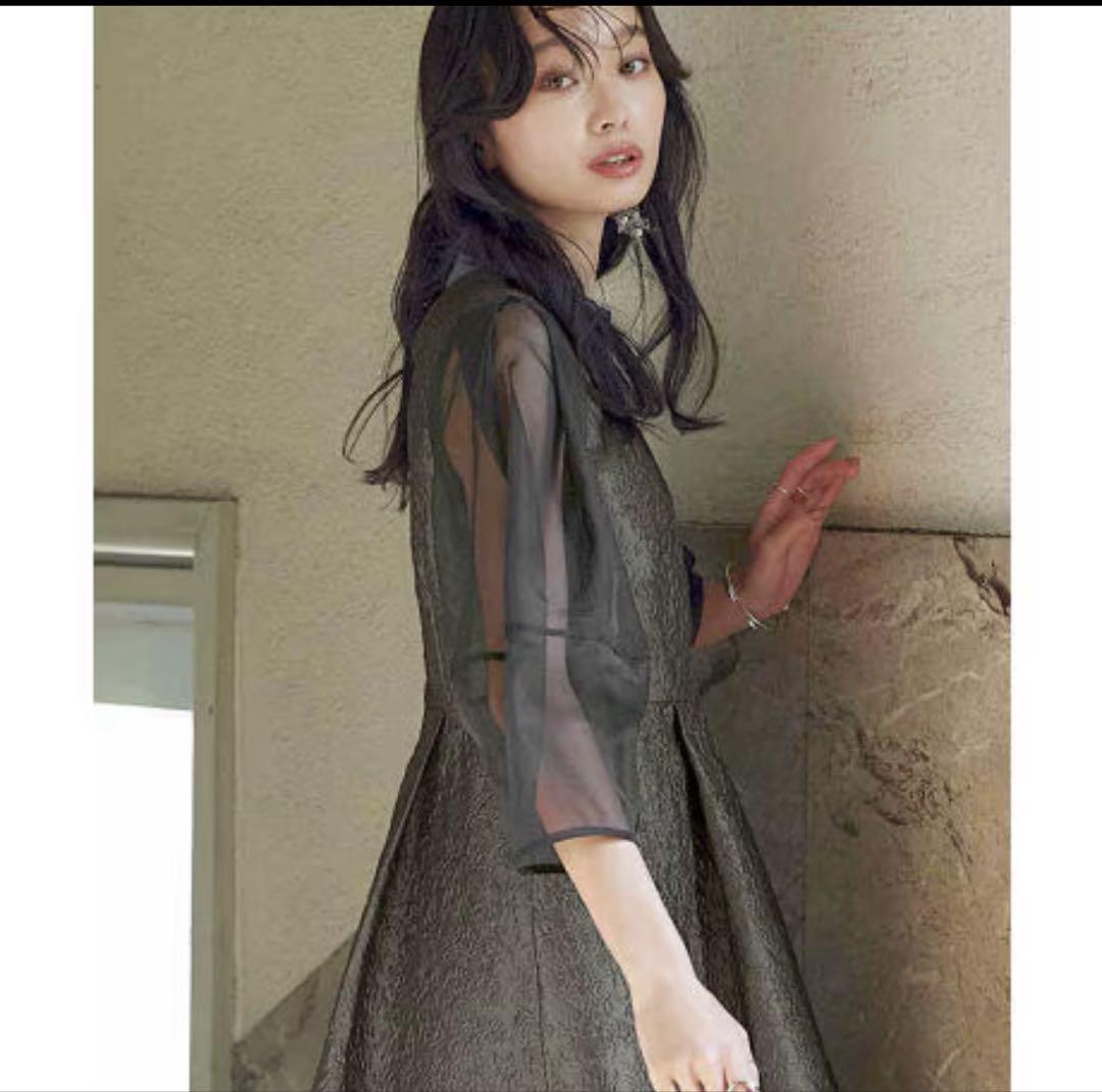 RUIRUE BOUTIQUE シアーランタンスリーブふくれジャカードドレス