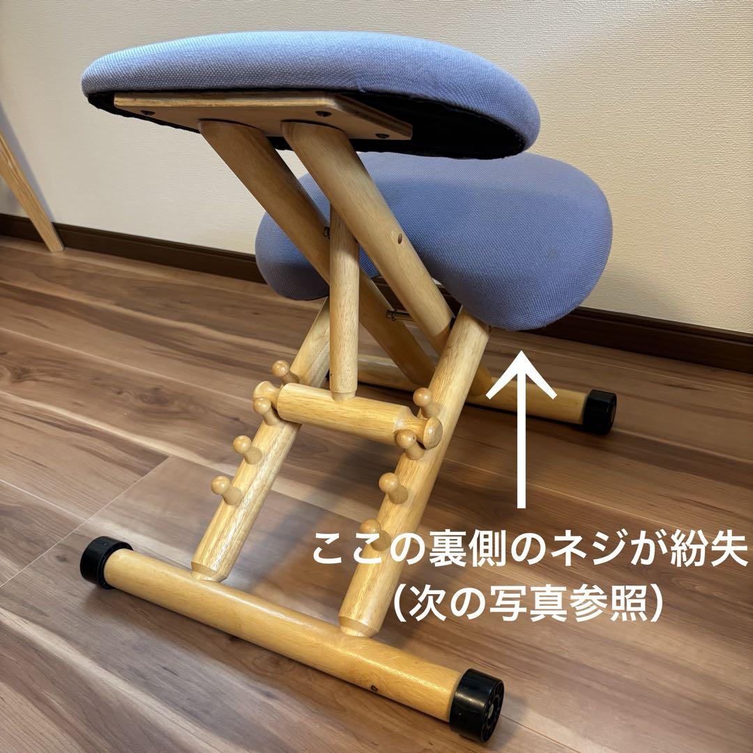 【人気色】パープル　大商産業　スタイルチェア　バランスチェア　BC-101