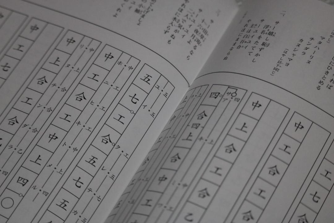 コンパクトで持ち運びしやすく弾きやすい沖縄三線初心者向け　新品未使用