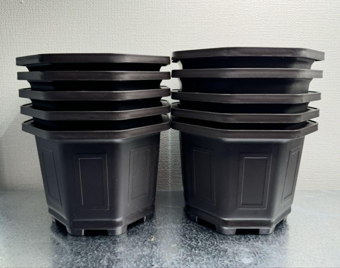 新品　台湾八角鉢　5寸　　Agave鉢　30個
