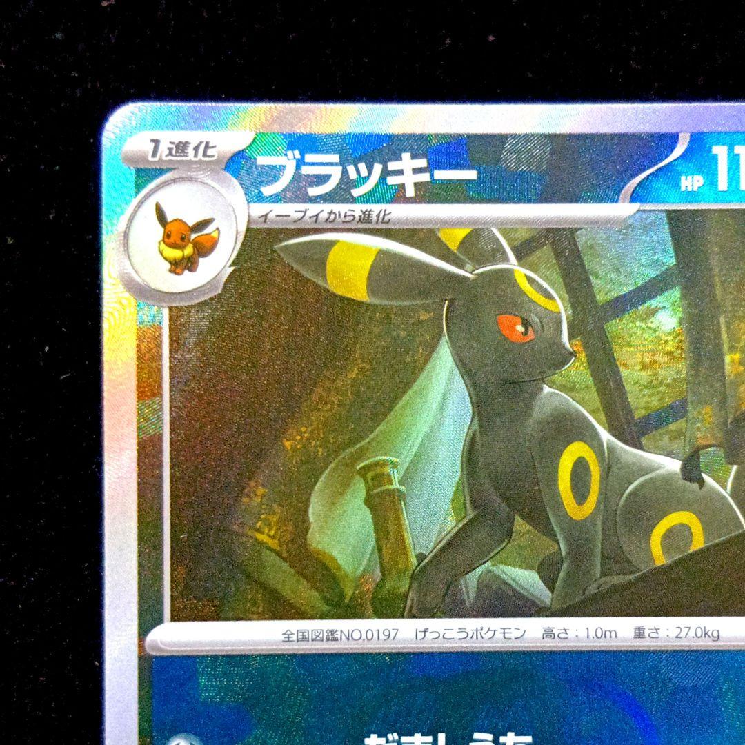 テラスタルフェス ex ブラッキー 092/187 マスターボールミラー テラスタルフェス ex ブラッキー 092/187 マスターボールミラー