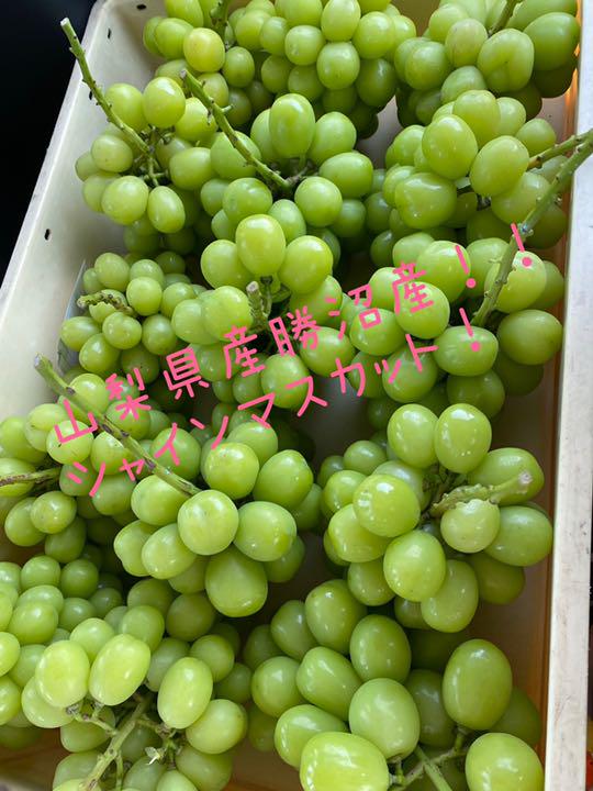 日本直営 シャインマスカット 2kg 日本正規|その他,食品 - dcwaindefla.dz 日本直営 シャインマスカット 2kg 日本正規|その他,食品 - dcwaindefla.dz