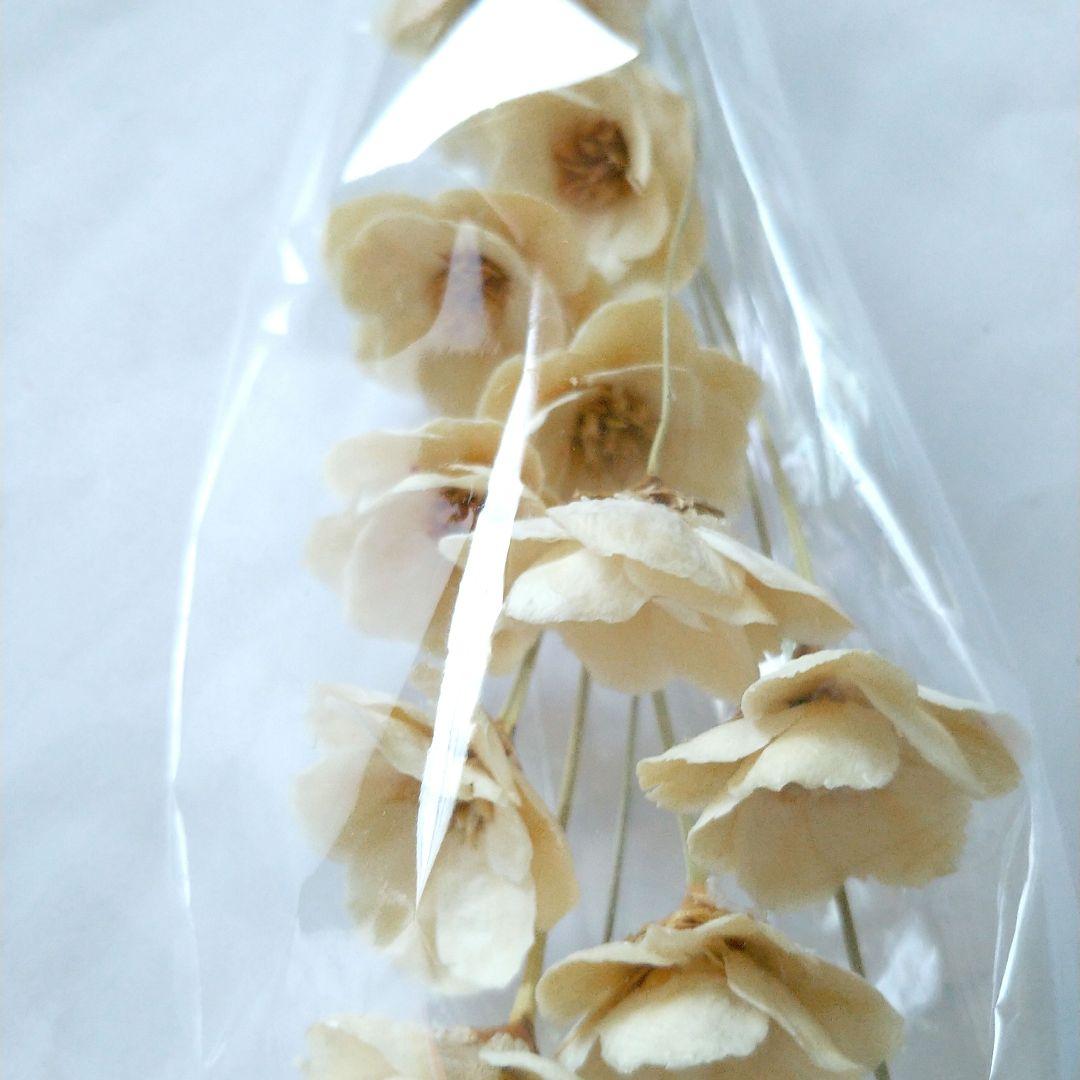 SALE】 vivi-an様 フラワー/ガーデン - leos-service.com