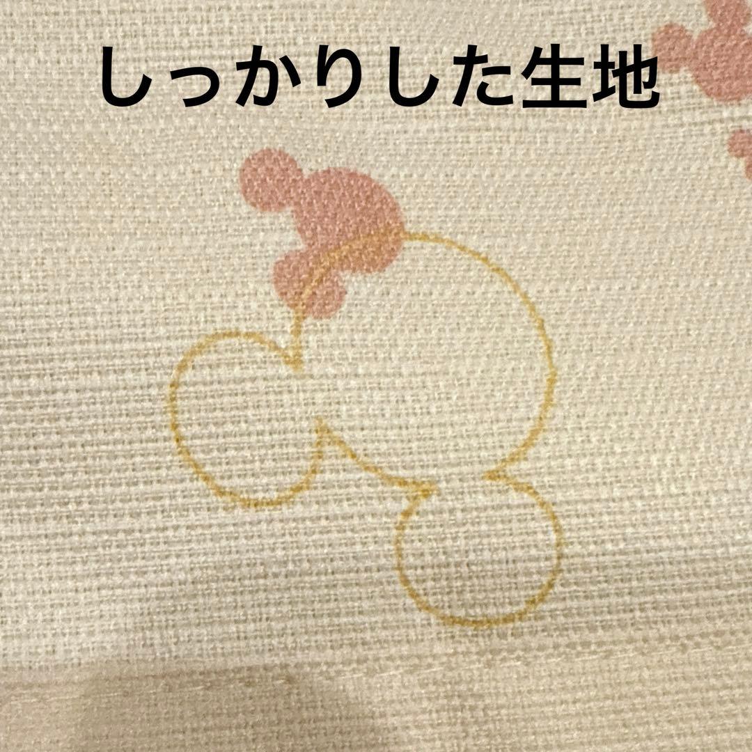 ミッキー 1級遮光