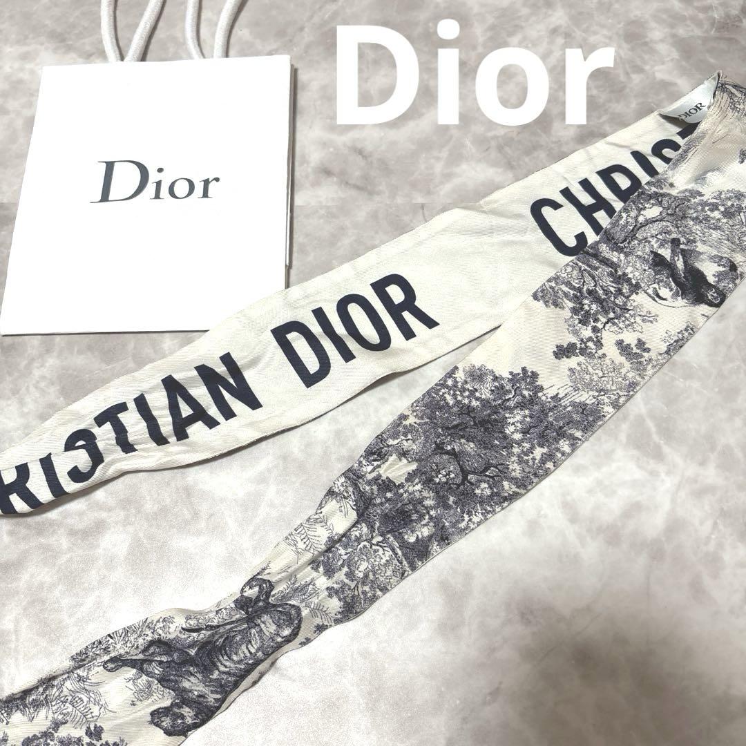 公式の店舗 Dior ミッツァ大幅最終お値下げ！【送料込み】早い者勝ち 小物