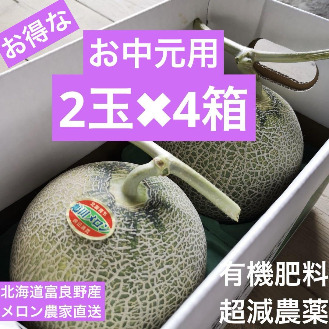 北海道 富良野 メロン赤肉1.2kg超✖︎2玉✖︎4箱有機肥料 超減農薬(9)