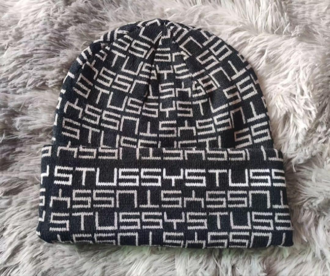Stussy ニット帽 ビーニー