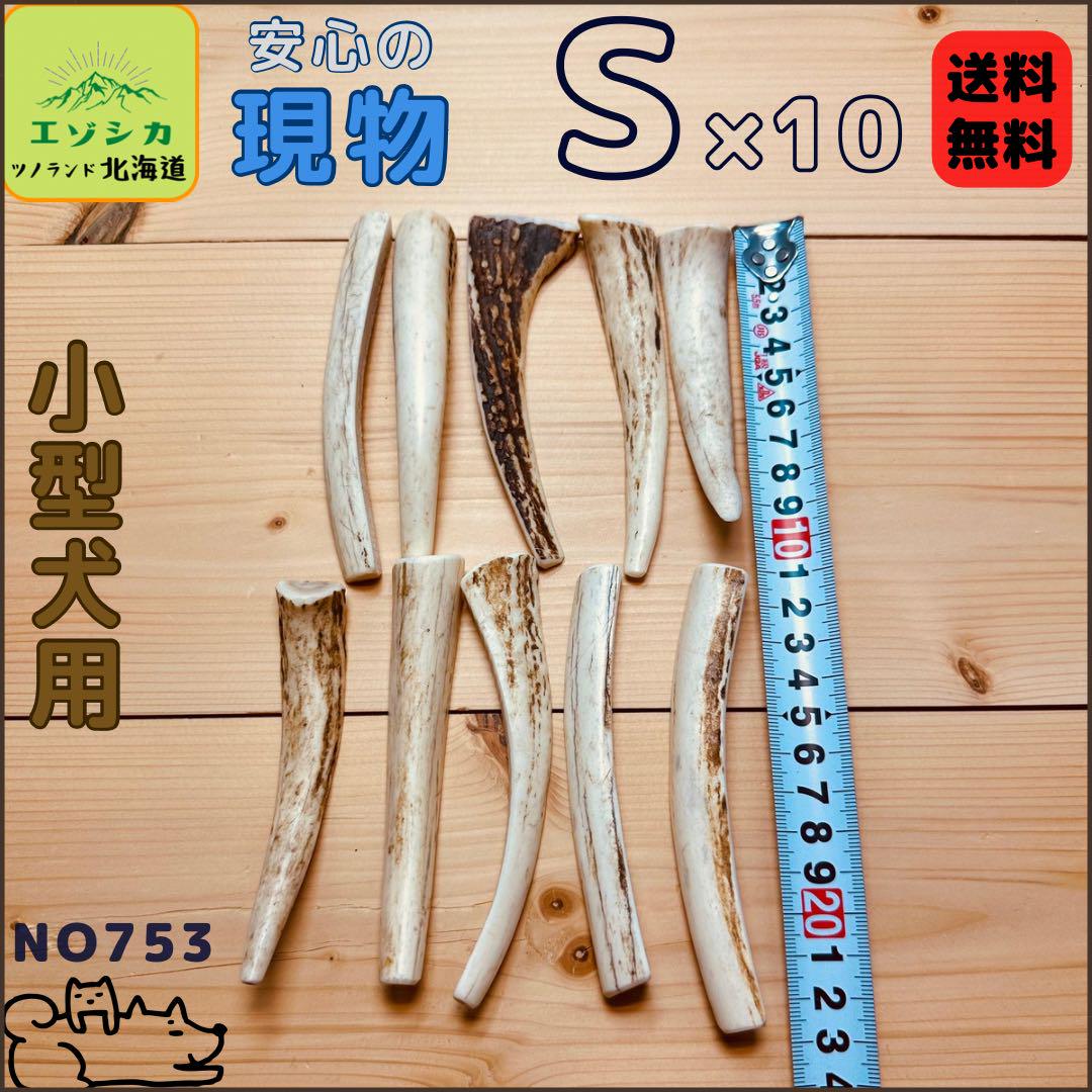 本物 ⭐︎現物⭐︎鹿の角⭐︎S×10本セット⭐︎犬のおもちゃ⭐︎753 その他