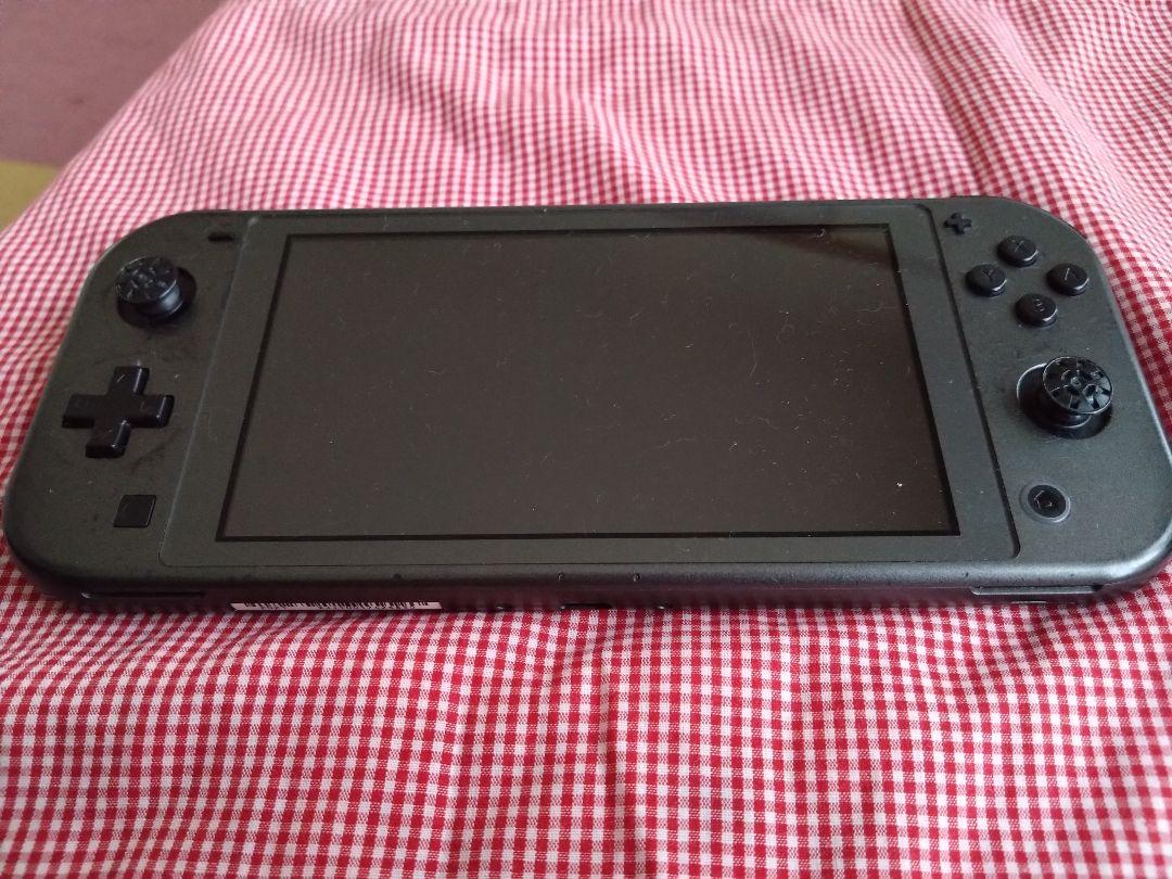 スイッチライト　ディアルガ・パルキア　ジャンク品