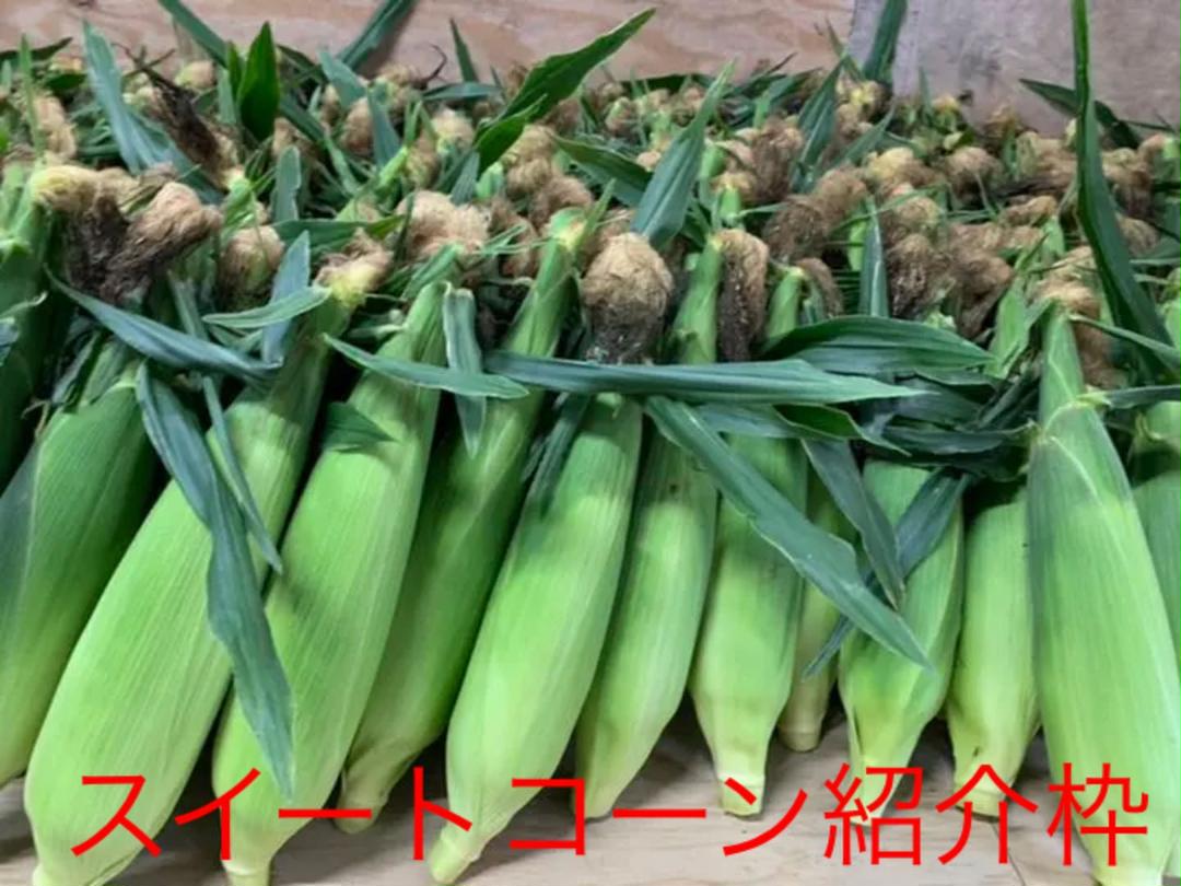 写真ご覧ください(o^^o) - 野菜本当に 安い