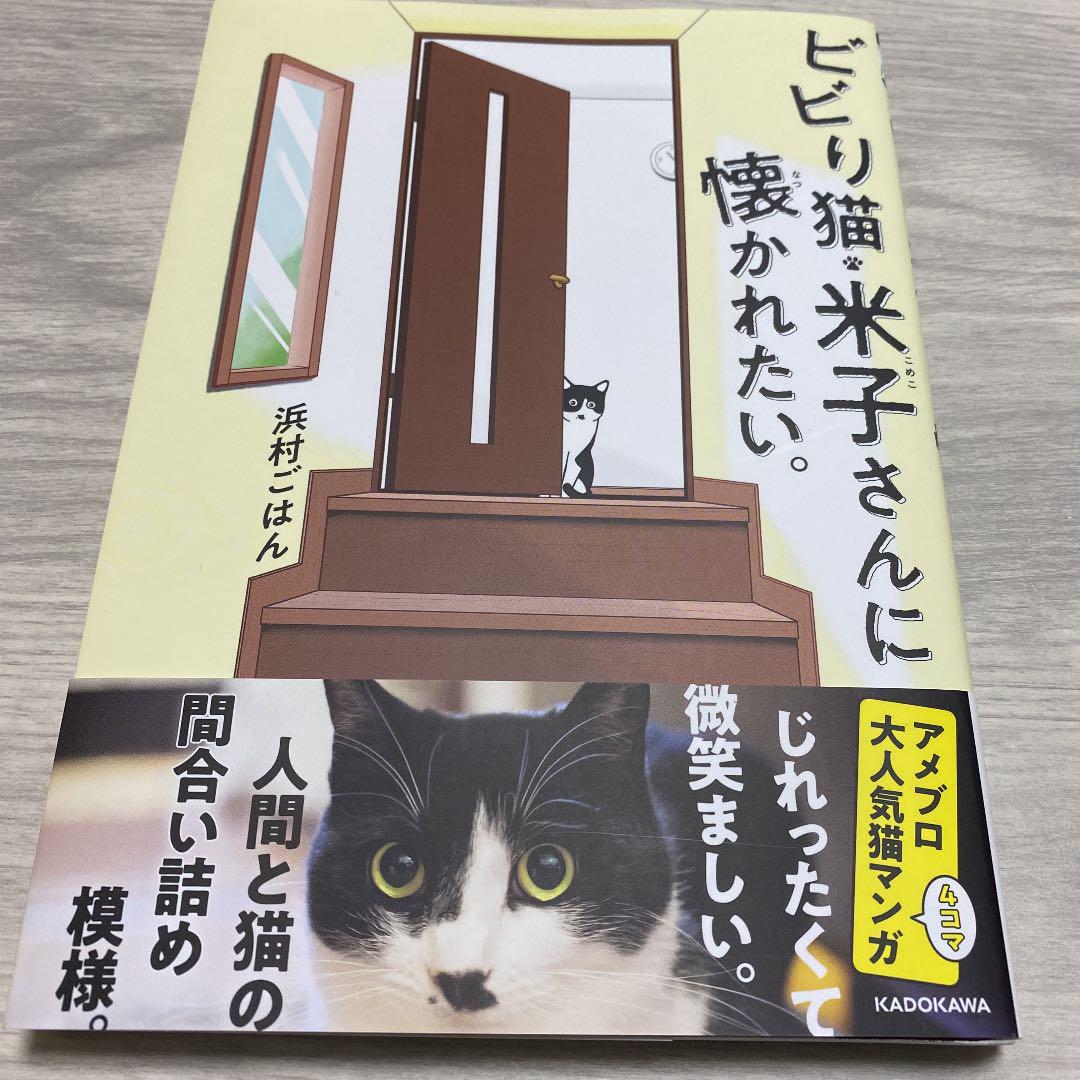 ビビり猫 米子さんに懐かれたい メルカリ