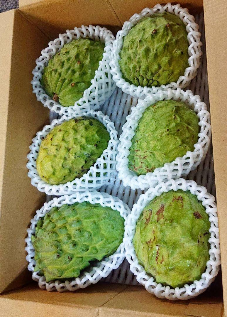 最終価格にお値引きしました! 旬です!沖縄本島北部産 絶品果実!アテモヤ= 鳳梨釋迦 1㎏ 最終価格にお値引きしました! 旬です!沖縄本島北部産 絶品果実!アテモヤ= 鳳梨釋迦 1㎏