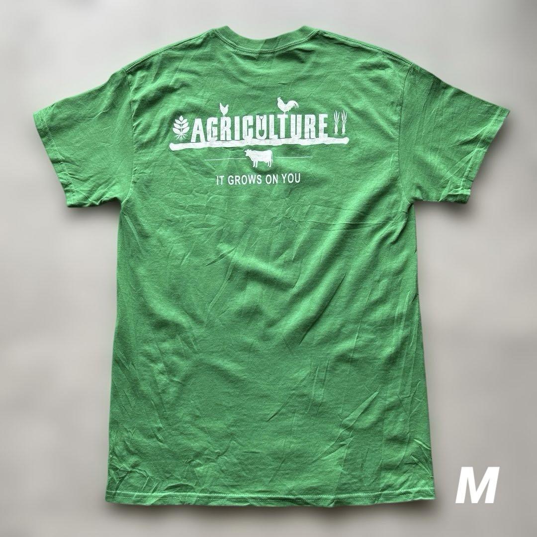 USA古着半袖Tシャツ グリーン Green 緑色 シンプル アメリカ