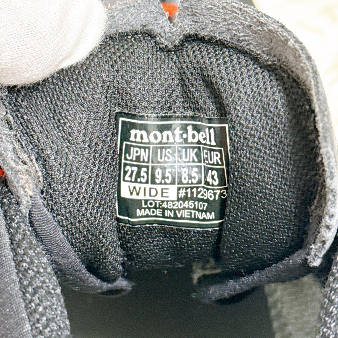 アルパインクルーザー1000 ワイド