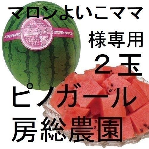①３９００円・2.玉・注文受付中・第３弾ピノガール「小玉スイカランキング第１位」