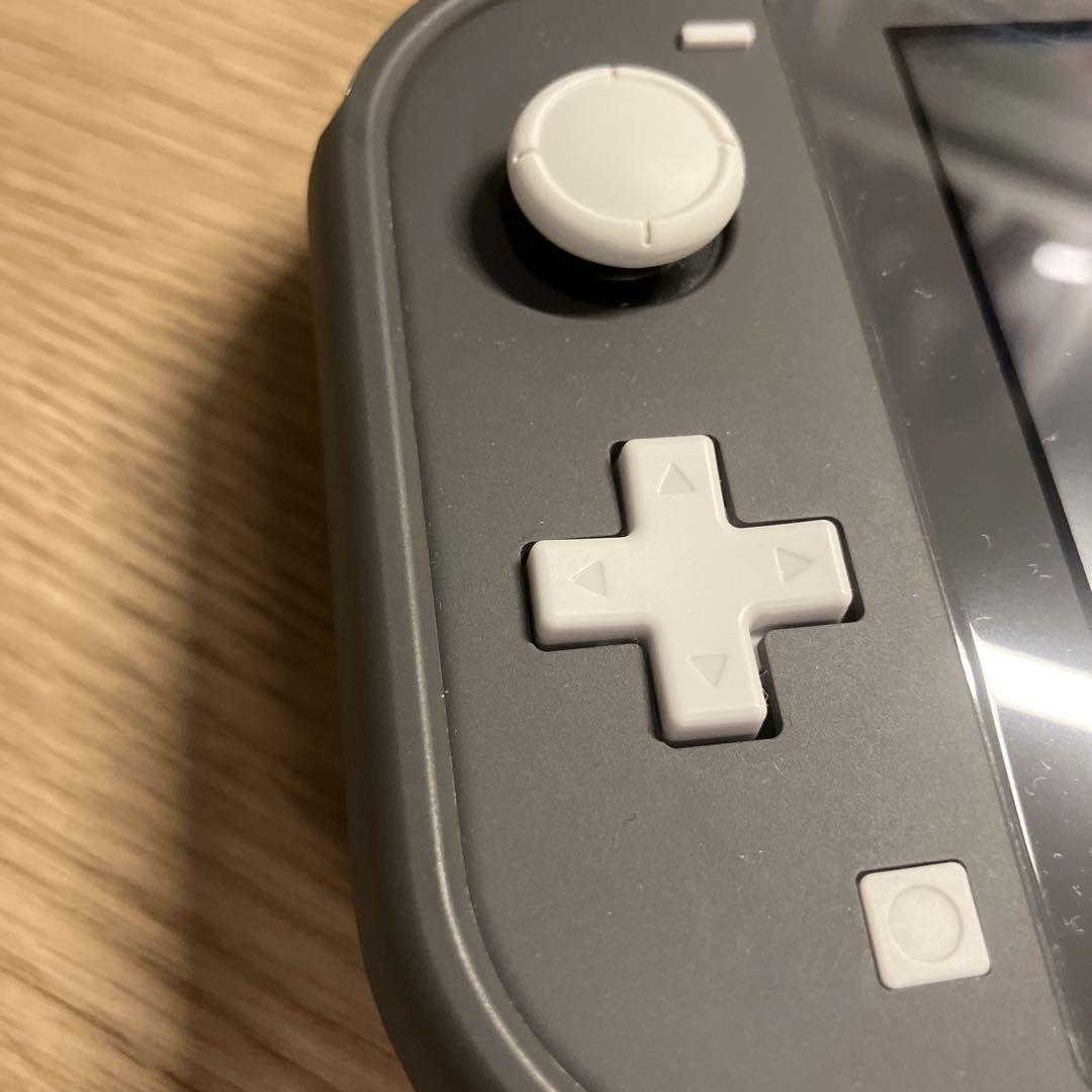 Nintendo Switchライト　ブラック　ケース付き