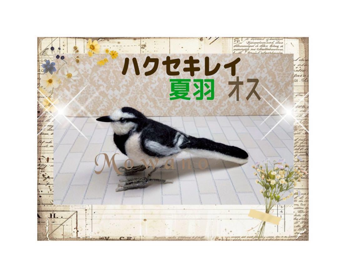 【羊毛フェルト 】ハクセキレイ　夏羽　オス　鳥