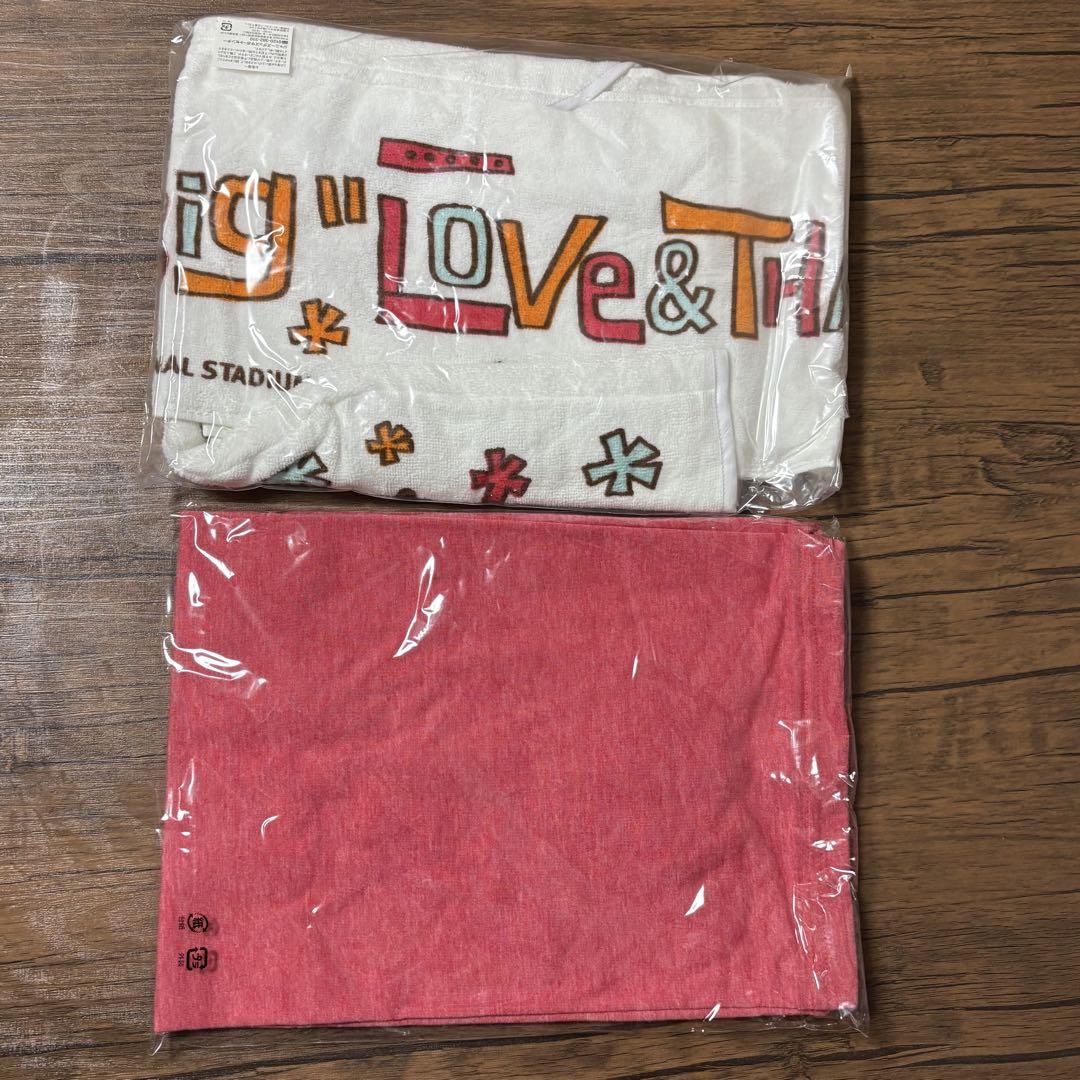 嵐フェス　2013 ライブグッズ　全種セット　Tシャツ、タオル、クッション