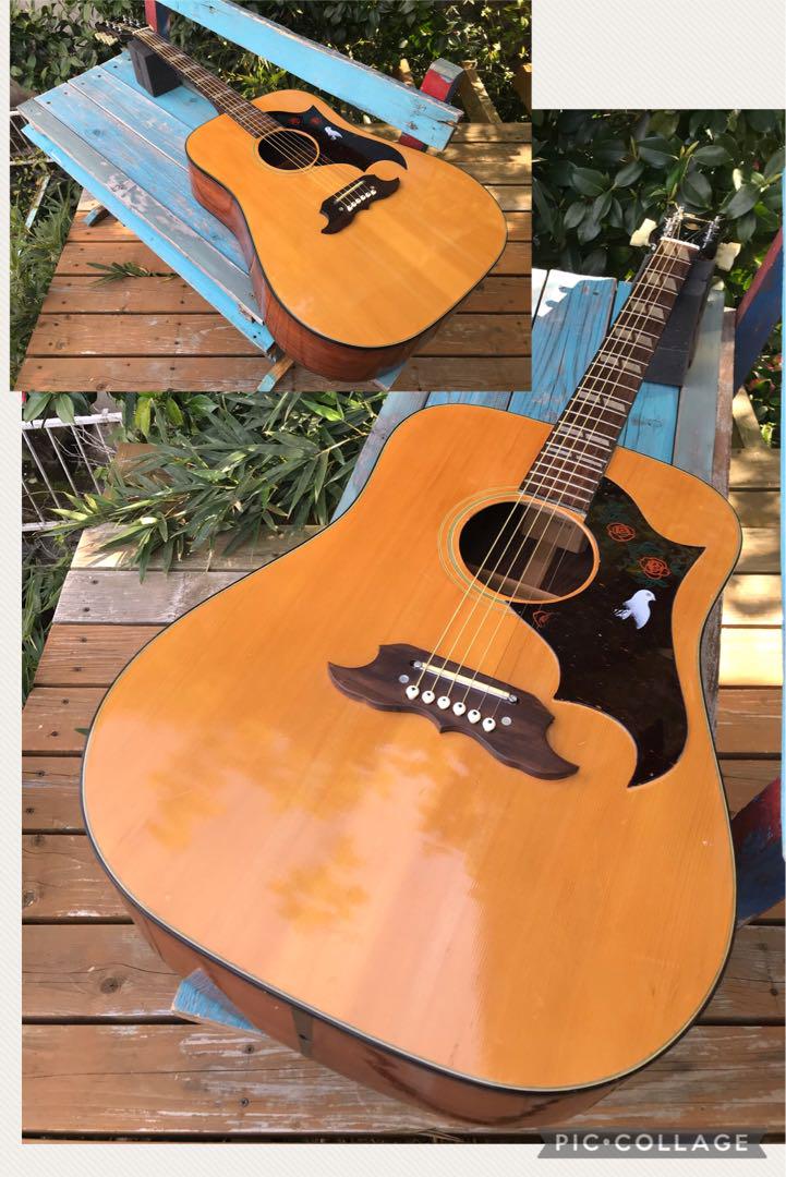 Pearl DOVE model パール ダヴ Pearl DOVE model パール ダヴ