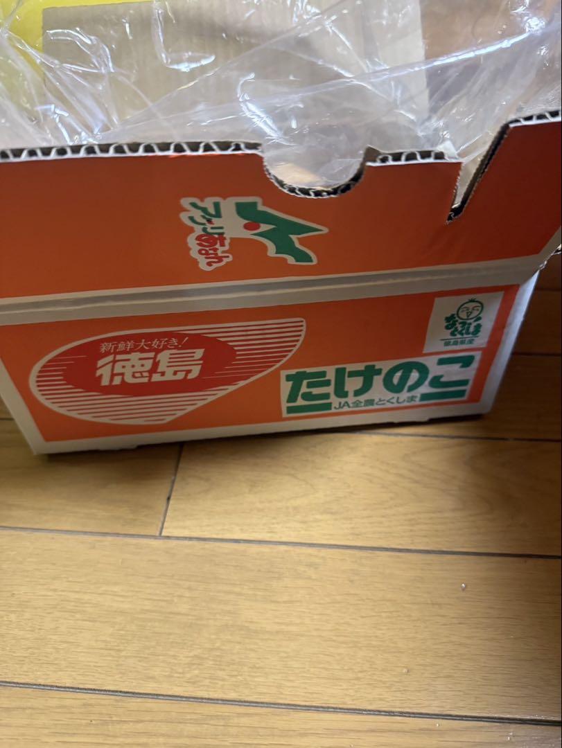 徳島県産 たけのこ 約2kg タケノコ 筍。