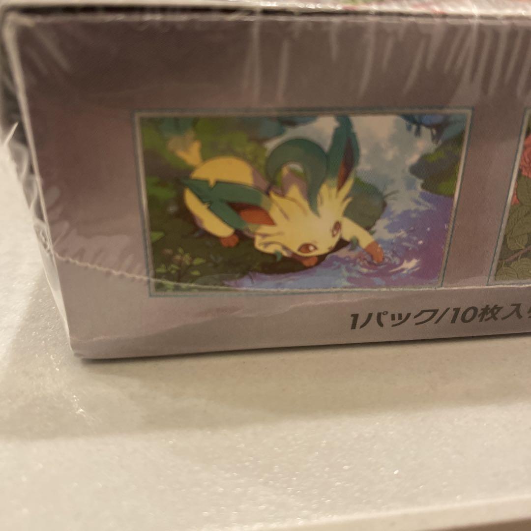 早いもの勝ち ポケモンカード　テラスタルフェスex 1BOX