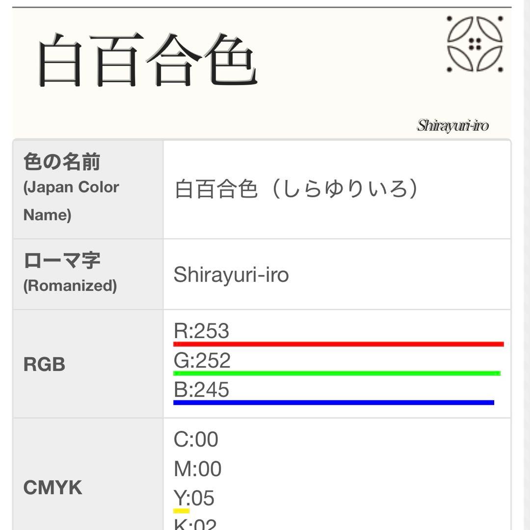 新品　美品　正絹　絽　訪問着　フルセット4点　身丈155 裄丈65.5