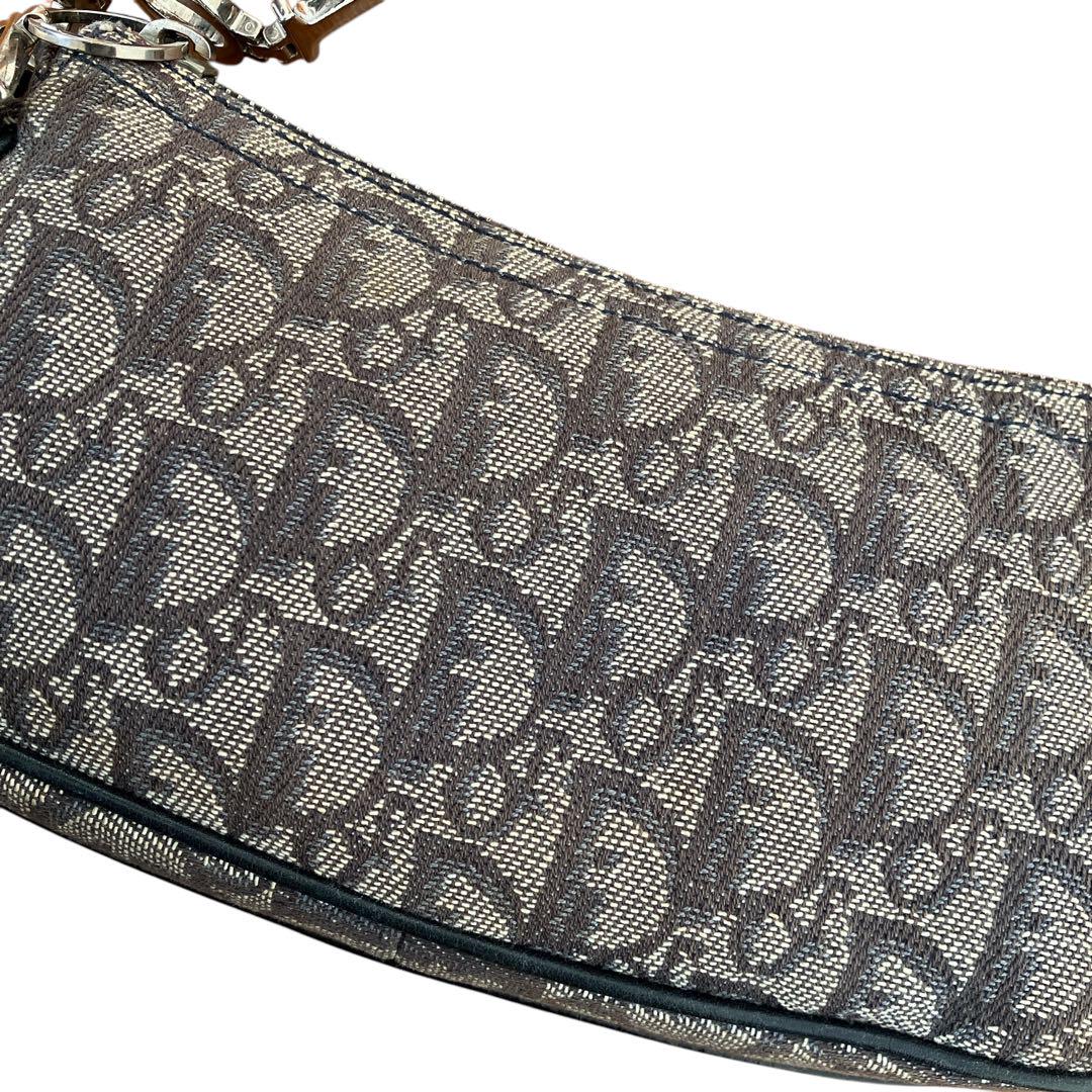 Dior trotter