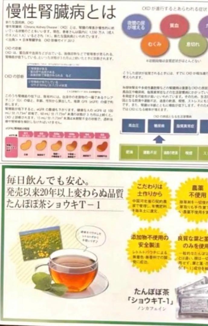 【正規品】タンポポ茶　たんぽぽ茶　ショウキT-1 妊活サプリ　サポート付き！