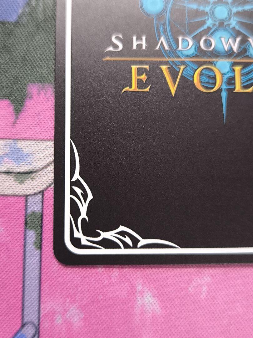 銀氷のドラゴニュート・フィルレイン　sp シャドウバースエボルヴ